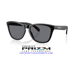 Oakley Frogskins Matte Black / Grey (OO9013-M7)