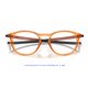 Oakley Pitchman R Polished Translucent Ginger (OX8105-24)