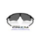Oakley Radar EV Path Polished Black / Prizm Black (OO9208-52)