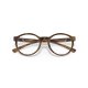 Oakley Spindrift Satin Brown Tortoise (OX8176-02)
