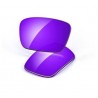 Fuel Cell Lente Violet Iridium Polarized (42-065)